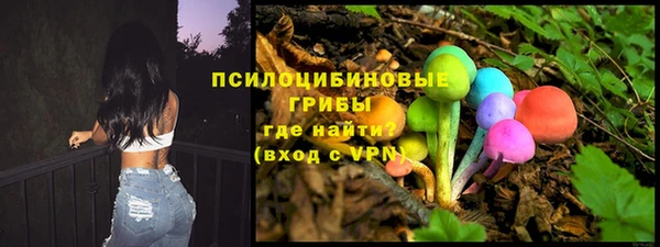 меф Белокуриха