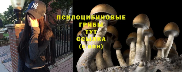 тгк Лихославль