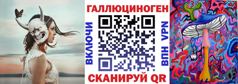 Псилоцибиновые грибы прущие грибы  Горно-Алтайск 